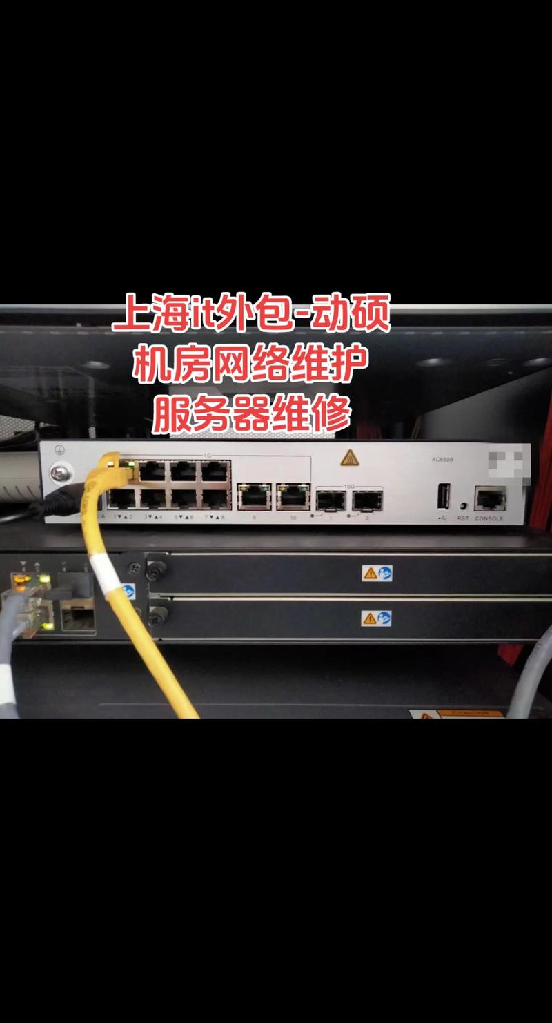 服务器托管：构建稳固的数字桥梁